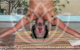 Secuencia de Yoga de variantes de Sirsasana