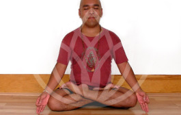 Secuencia de Yoga para Padmasana, la postura del Loto